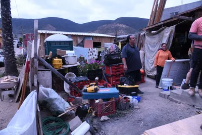 DSC_0930 (Large).JPG